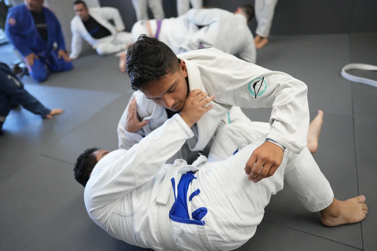 Gentle Arts Jiu Jitsu academy photo
