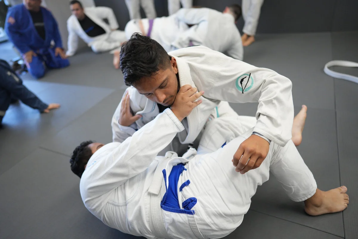 Gentle Arts Jiu Jitsu academy photo