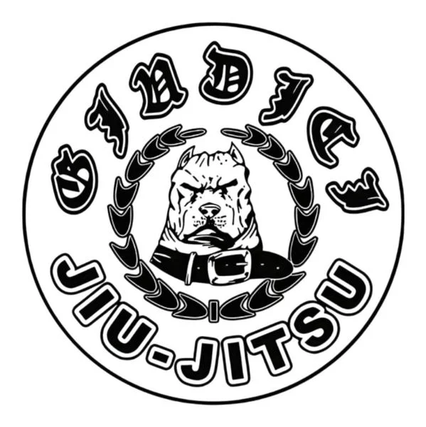 Giudici Academy NorCal academy photo