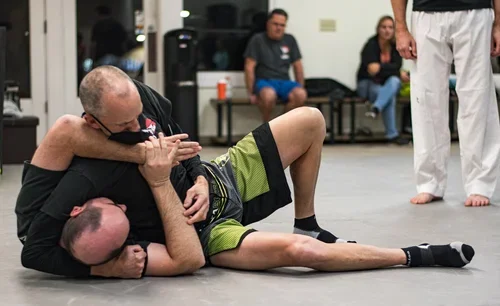 Global Martial Arts Vista visual