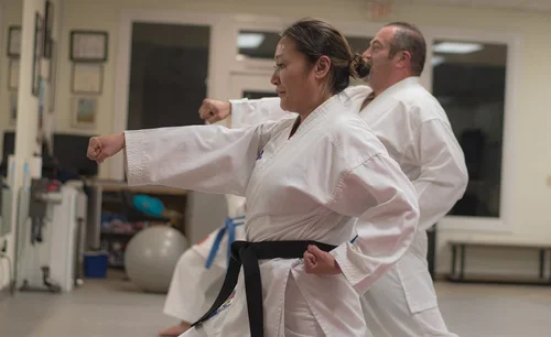 Global Martial Arts Vista academy photo
