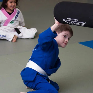 Gracie Academy Brazilian Jiu Jitsu visual