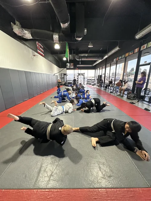 Gracie Gym OC academy photo