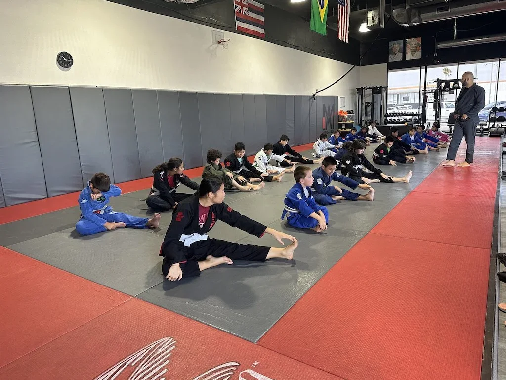 Gracie Gym OC visual