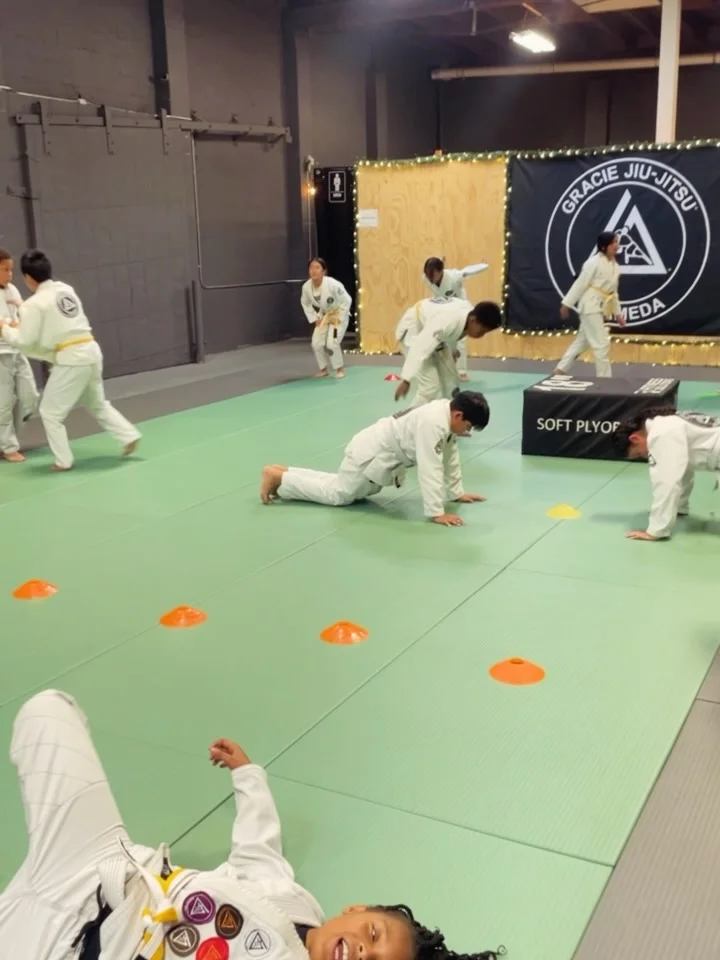 ALAMEDA JIU-JITSU / Alameda Brazilian Jiu-Jitsu Academy academy photo