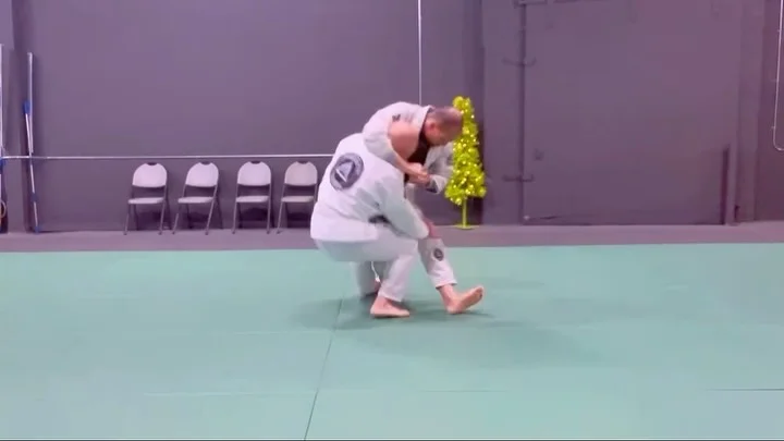 ALAMEDA JIU-JITSU / Alameda Brazilian Jiu-Jitsu Academy academy photo