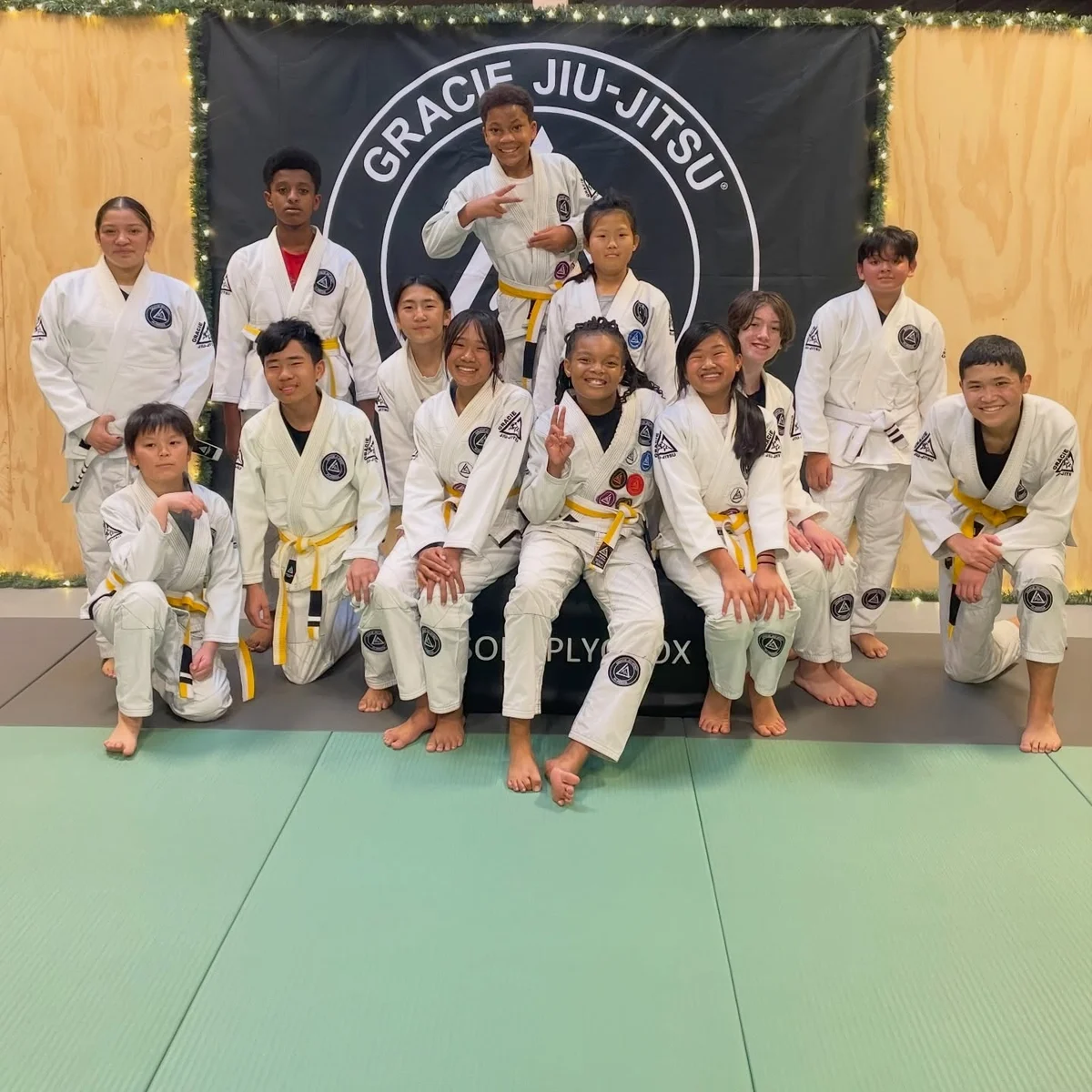 ALAMEDA JIU-JITSU / Alameda Brazilian Jiu-Jitsu Academy academy photo
