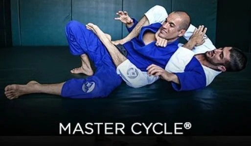 Gracie Jiu-Jitsu Fullerton academy photo