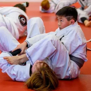 Gracie Jiu-Jitsu Torrance visual