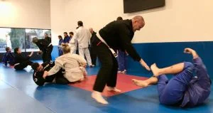 Ground-Up Brazilian Jiu-Jitsu Academy, LLC academy photo