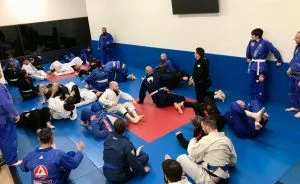Ground-Up Brazilian Jiu-Jitsu Academy, LLC academy photo