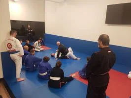 Ground-Up Brazilian Jiu-Jitsu Academy, LLC academy photo