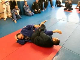 Ground-Up Brazilian Jiu-Jitsu Academy, LLC academy photo