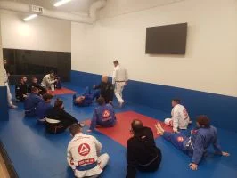 Ground-Up Brazilian Jiu-Jitsu Academy, LLC academy photo