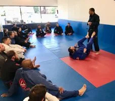 Ground-Up Brazilian Jiu-Jitsu Academy, LLC academy photo