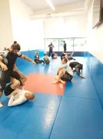 Ground-Up Brazilian Jiu-Jitsu Academy, LLC academy photo