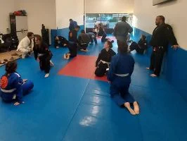 Ground-Up Brazilian Jiu-Jitsu Academy, LLC academy photo