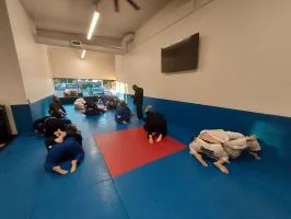 Ground-Up Brazilian Jiu-Jitsu Academy, LLC academy photo