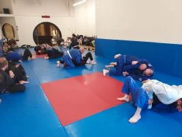 Ground-Up Brazilian Jiu-Jitsu Academy, LLC academy photo