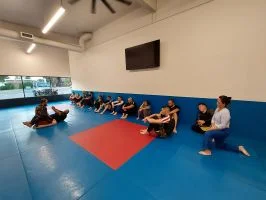 Ground-Up Brazilian Jiu-Jitsu Academy, LLC academy photo