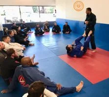 Ground-Up Brazilian Jiu-Jitsu Academy, LLC academy photo
