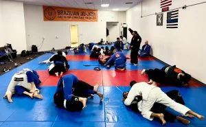Ground-Up Brazilian Jiu-Jitsu Academy, LLC academy photo