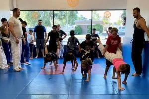 Ground-Up Brazilian Jiu-Jitsu Academy, LLC academy photo