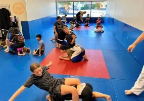 Ground-Up Brazilian Jiu-Jitsu Academy, LLC academy photo