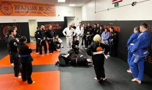 Ground-Up Brazilian Jiu-Jitsu Academy, LLC academy photo