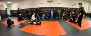 Ground-Up Brazilian Jiu-Jitsu Academy, LLC academy photo