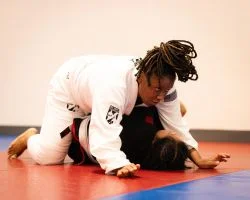 Ground-Up Brazilian Jiu-Jitsu Academy, LLC academy photo