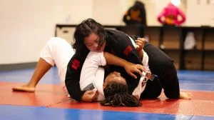 Ground-Up Brazilian Jiu-Jitsu Academy, LLC academy photo