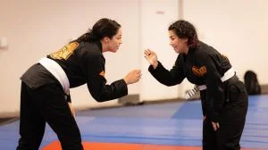 Ground-Up Brazilian Jiu-Jitsu Academy, LLC academy photo