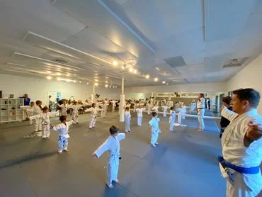 Groundwork Jiu-Jitsu academy photo