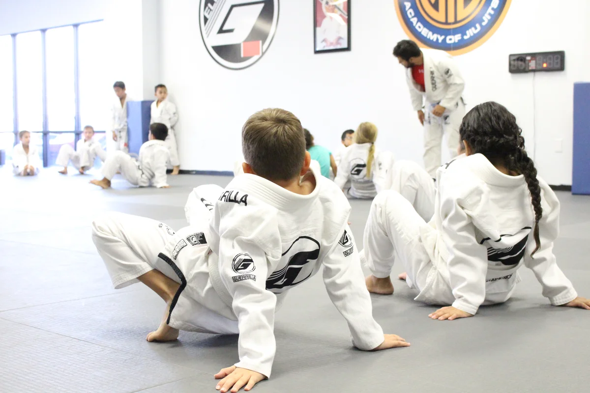Guerrilla Jiu-Jitsu academy photo