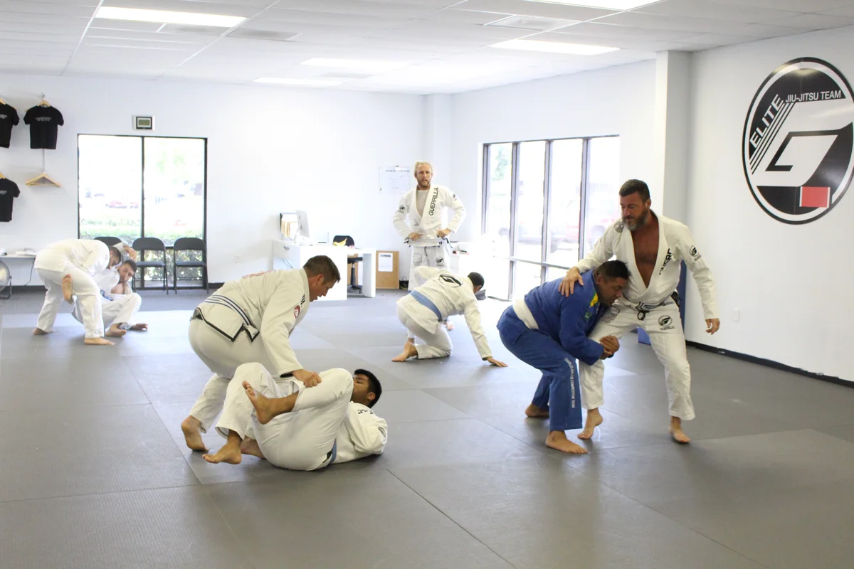 Guerrilla Jiu-Jitsu academy photo