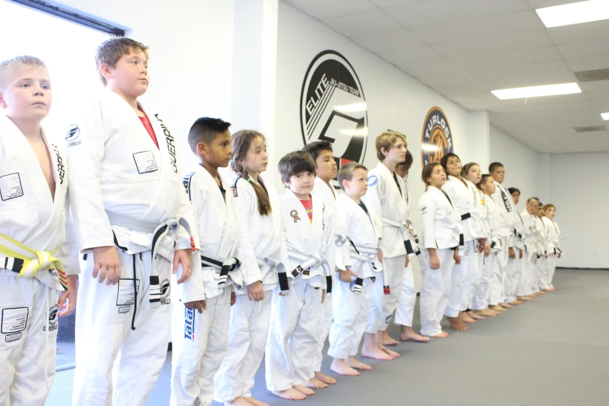 Guerrilla Jiu-Jitsu academy photo