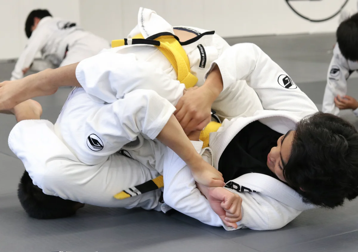 Guerrilla Jiu-Jitsu Pleasanton facility image