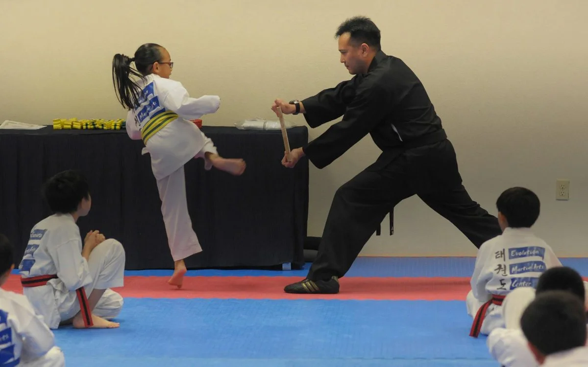 Hamilton Martial Arts Academy academy logo