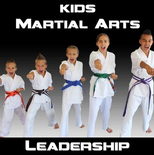 Happy Life Mix Martial Arts academy photo