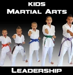Happy Life Mix Martial Arts academy photo