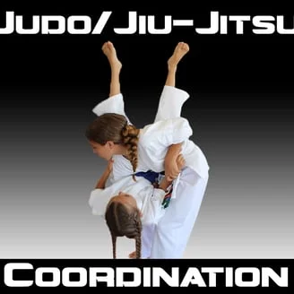 Happy Life Mix Martial Arts academy photo