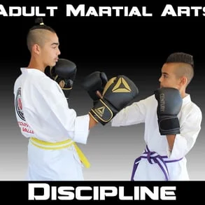 Happy Life Mix Martial Arts academy photo