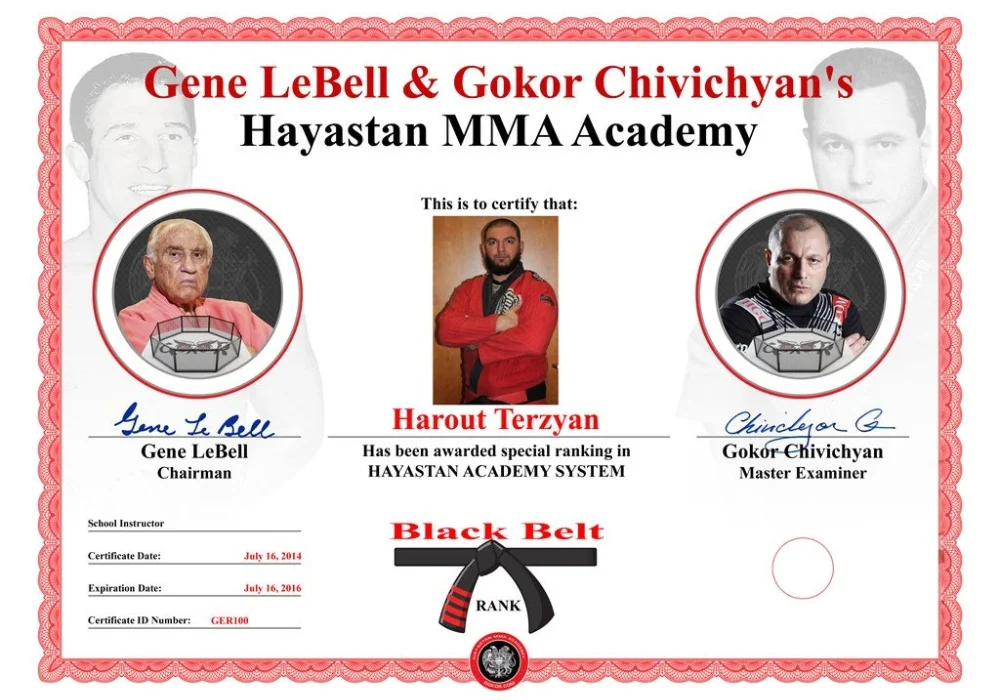 Hayastan MMA Academy facility image
