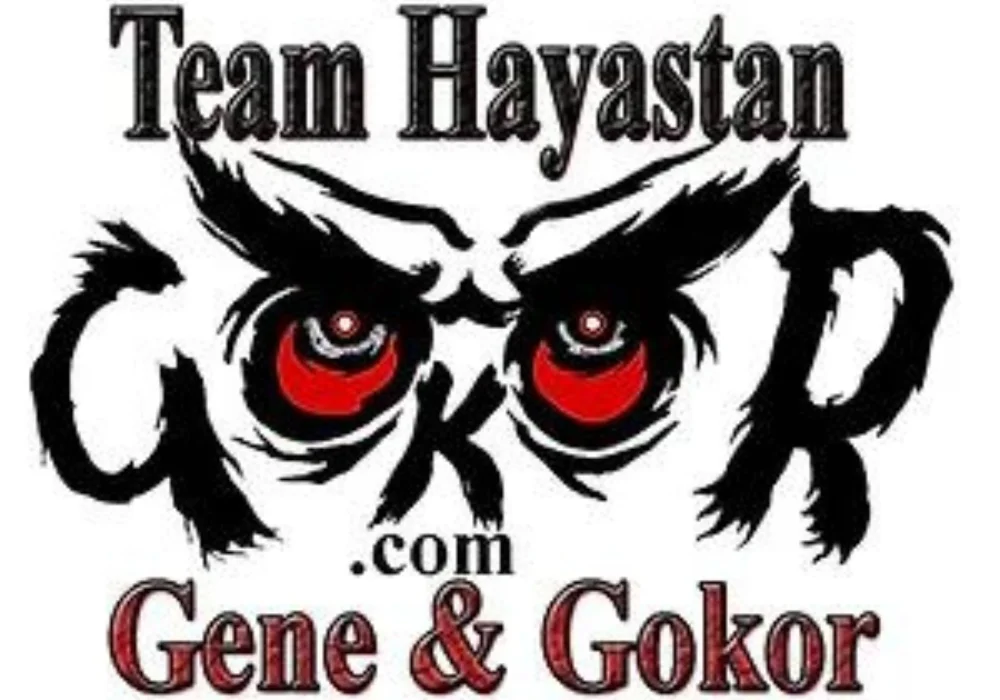 Hayastan MMA Academy facility image