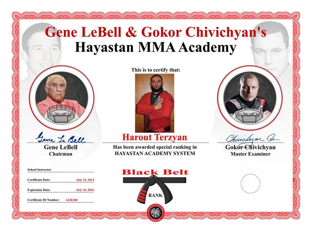 Hayastan MMA Academy facility image