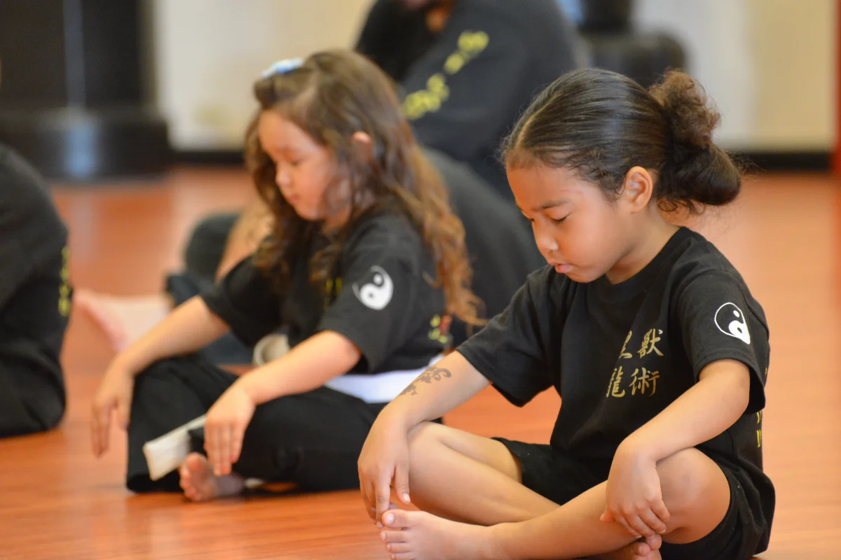Hei Long Shou Shu Kung Fu / Shou Shu Vallejo academy photo