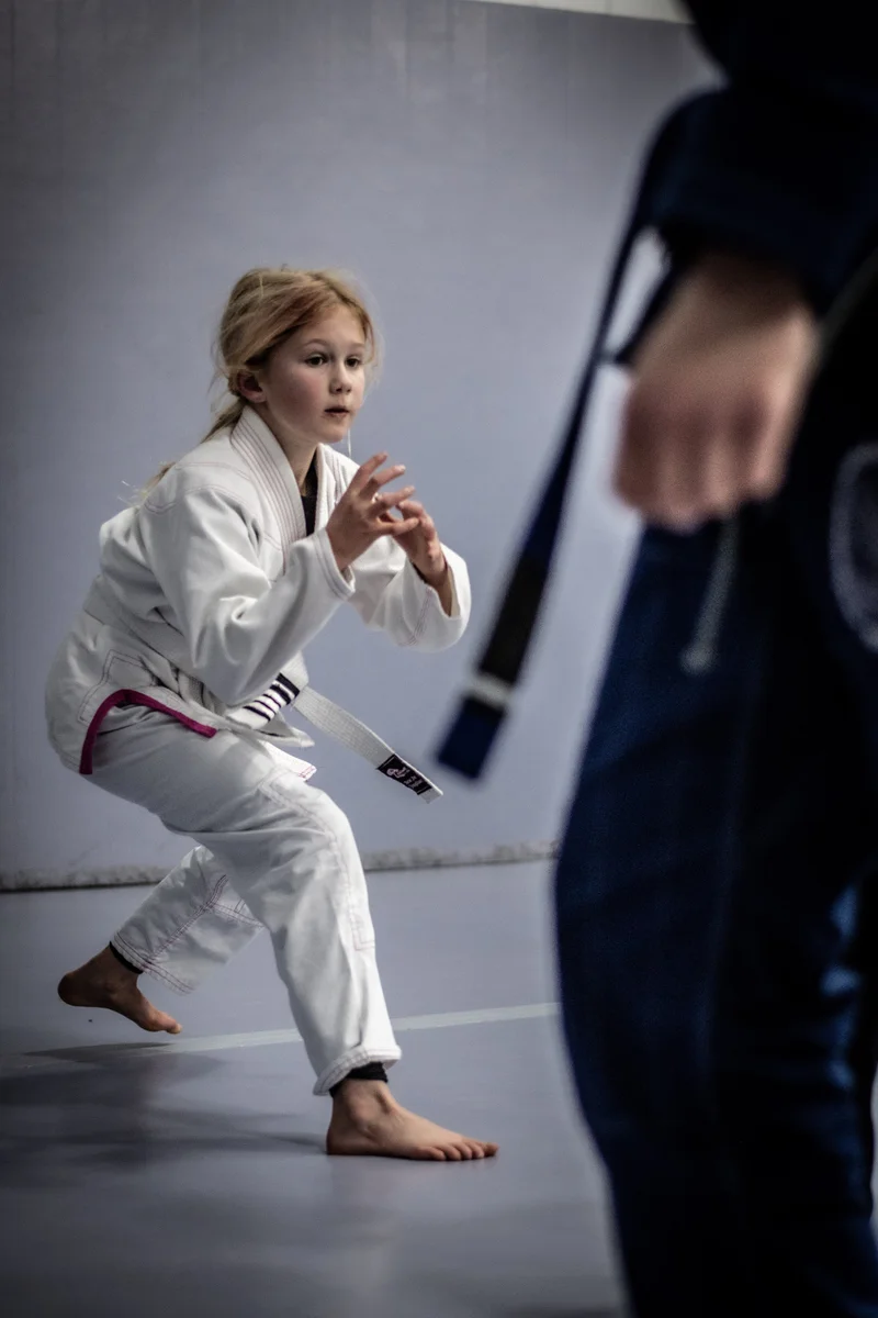Hollister Brazilian Jiu Jitsu academy photo