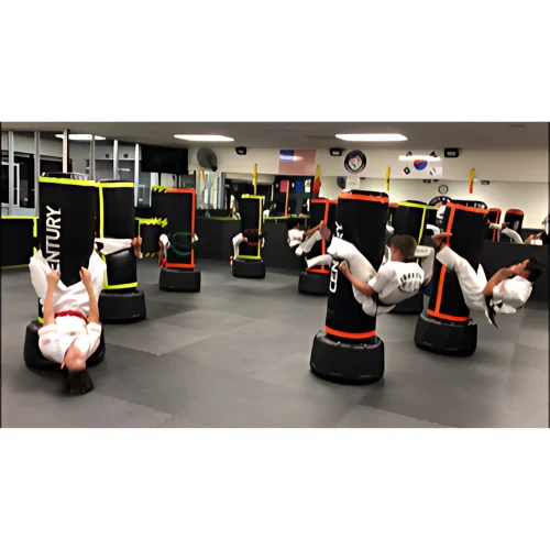 Iron Fist Martial Arts facility image
