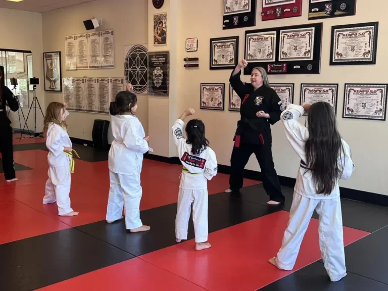 JSK North Bay Martial Arts – A Jeff Speakman Training Center academy photo